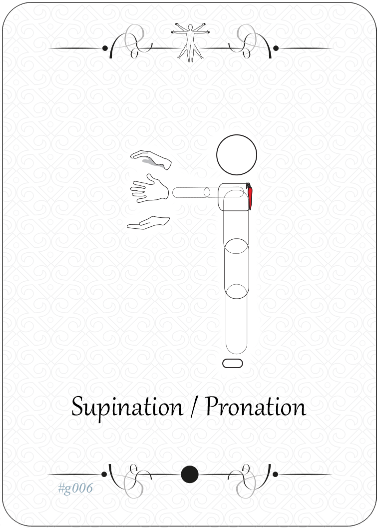 Supination / Pronation